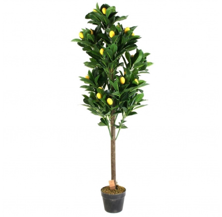 Umělé citronovníkové stromky 120 cm