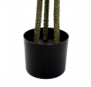 Umělá rostlina TROPICAL ZONE dracéna 160 cm 877860