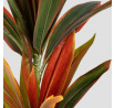 Umělá rostlina TROPICAL ZONE dracéna 90 cm 740596