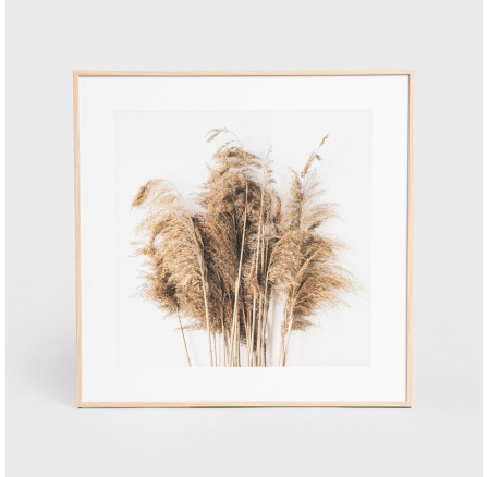 Zarámovaný obraz ZEFIR rákosí 30x30 cm 757679