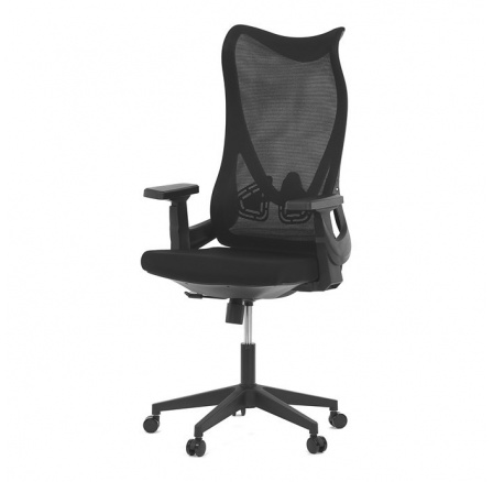 Kancelářská židle, houpací mechanismus, černá síťovina, KA-S248 BK