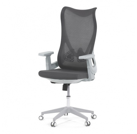 Kancelářská židle, houpací mechanismus, šedá síťovina, KA-S248 GREY