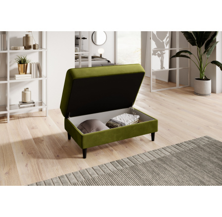 Bellis Loco 33 97x42