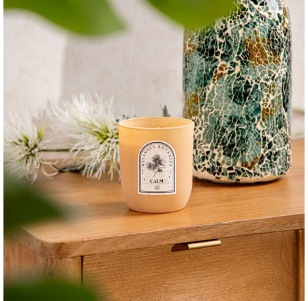 Vonná svíčka WELLNESS Calm 160 G 721045