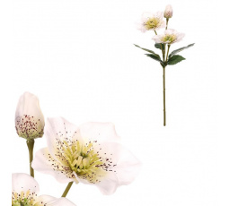 Čemeřice - umělá řezaná, bílé květy