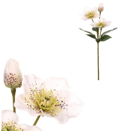 Čemeřice - umělá řezaná, bílé květy