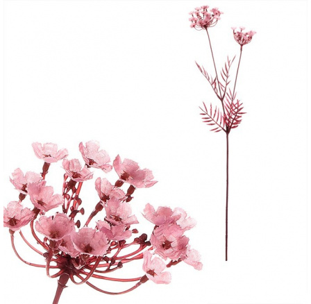 Kopr kvetoucí - umělý řezaný, barva tmavě růžová