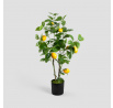 Umělá rostlina CITRUS s citrony 75 cm 741463
