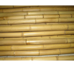 Bambusová tyč 3- 4 cm, délka 100 cm podélně prasklá