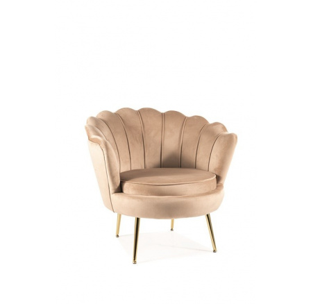 CARMELA  1 VELVET - KŘESLO, látka BÉŽOVÁ - BLUVEL 28/ nožky ZLATÁ - (CARMELIAV1BEZL) (S) (K250-E)