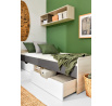 Postel REMO RM16 - 120x200 cm, Dub Wilton bílý/Bílá Lux/Antracit
