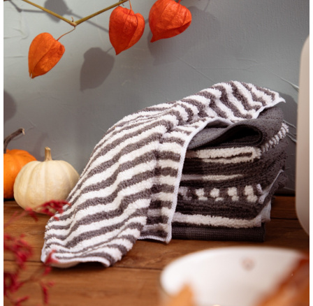 Sada kuchyňských utěrek EASY CLEAN mikrovlákno 10*30x30 cm 703515