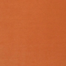 Orange 11