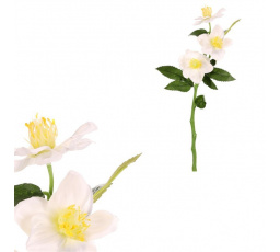 Čemeřice - umělá řezaná květina, krémová