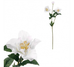 Čemeřice - umělá řezaná, 3 květy, bílá
