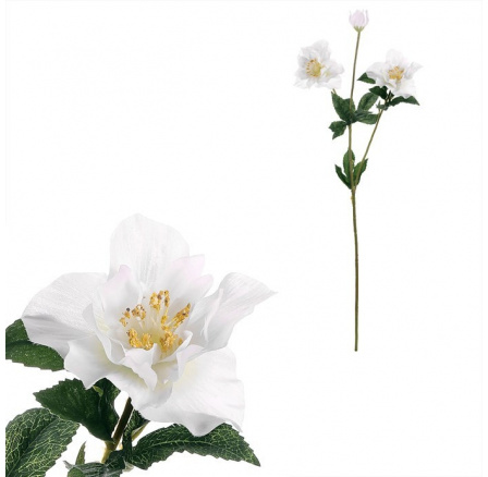 Čemeřice - umělá řezaná, 3 květy, bílá