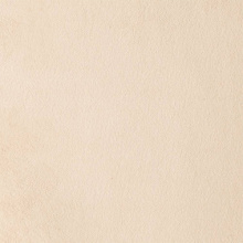 PARIS BEIGE