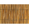 Rohož plotová rákos 130x500 cm
