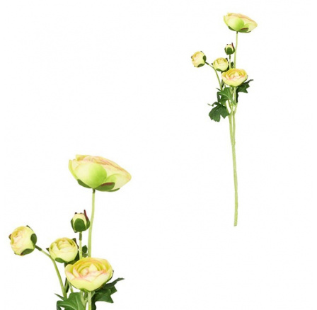 Ranunculus - umělý řezaný, 5 květů, zelená barva