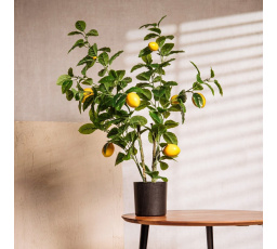 Umělá rostlina CITRUS s citrony 75 cm 741463