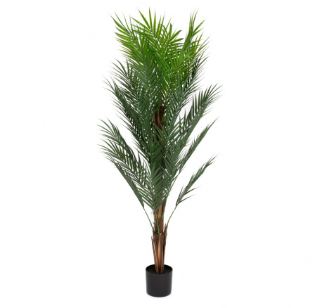 Umělá rostlina TROPICAL ZONE palma 150 m 874258