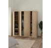 Šatní skříň BIRGER 053, Jackson hickory