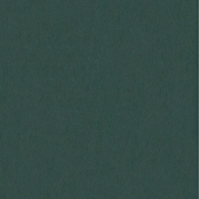 Riviera 87