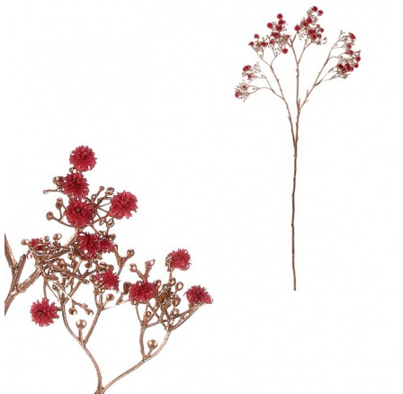 Gypsophila - s pozlacením, tmavě červená kvítka Gypsophila - s pozlacením, tmavě červená kvítka