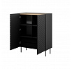 Komoda ONDA 2D2S, černá / dub artisan