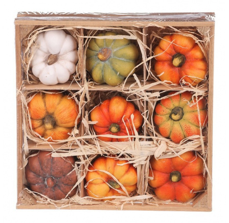 Dýně z terakoty - mix druhů v krabičce, cena za balení (9 ks) Dýně z terakoty - mix druhů v krabičce, cena za balení (9 ks)