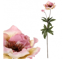 Čemeřice - umělá řezaná květina, krémovo-růžová