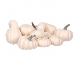 Dýně plastová - mix tvarů, barva bílá, cena za balení (12 ks)