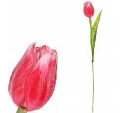 Tulipán plastový - řezaná květina, červeno-bílá, cena za 1 ks