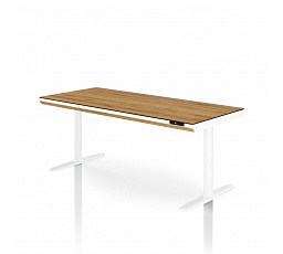 Elektrický výškově nastavitelný stůl sit-stand se zásuvkou a bezdrátovou nabíječkou Qi, bílý/zlatý dub, 1600 mm: ELLIS