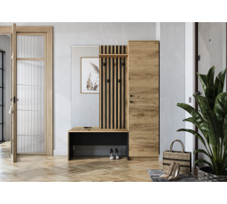 Předsíňová stěna ZARIS, Dub zlatý / Černá