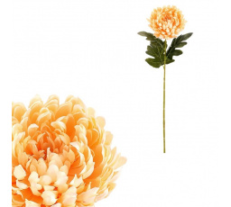 Chryzantéma - umělá řezaná květina, meruňková