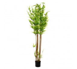 Umělá rostlina TROPICAL ZONE bambus 180 cm 877921