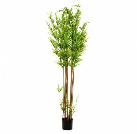 Umělá rostlina TROPICAL ZONE bambus 180 cm 877921