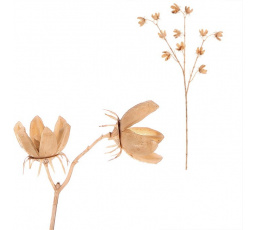 Bavlník kvetoucí - umělý řezaný, barva krémová