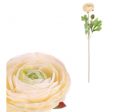 Ranunculus - umělá řezaná květina, krémová