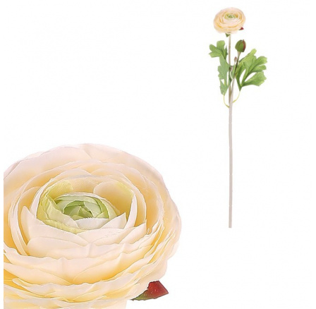 Ranunculus - umělá řezaná květina, krémová