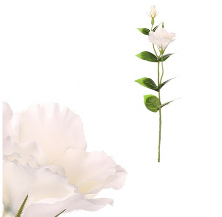 Eustoma - umělá řezaná květina, bílá