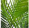 Umělá rostlina TROPICAL ZONE palma 120 cm 874241
