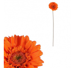 Gerbera - umělý květ na stonku, oranžový