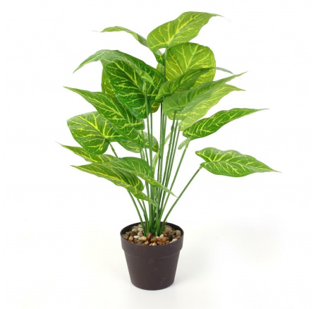 Umělá rostlina Alocasia 55 cm