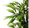 Umělá rostlina TROPICAL ZONE bambus 180 cm 877914