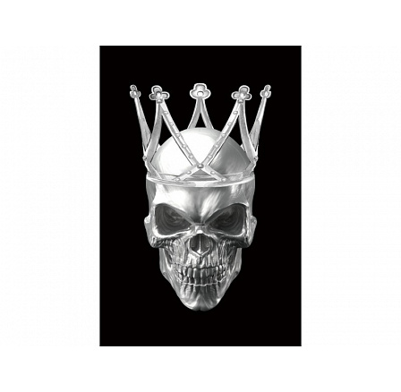 Obraz SKULL II 80X120 Obraz SKULL II 80X120