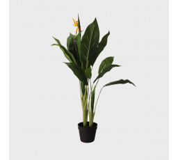 Umělá rostlina AILIA Strelitzia 100 cm 956537