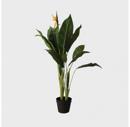 Umělá rostlina AILIA Strelitzia 100 cm 956537
