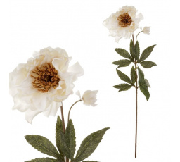 Čemeřice - umělá řezaná květina, krémová